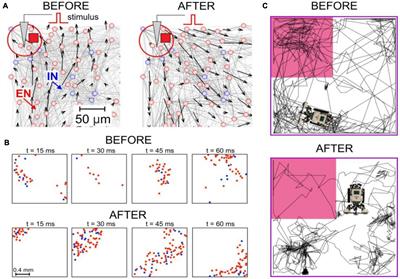 Toward Reflective Spiking Neural Networks Exploiting Memristive Devices